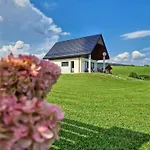 Villa Lackowa Chill And Rest Z Balia Krynica Zdroj *
