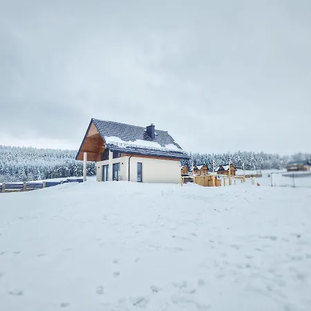 Villa Lackowa Chill And Rest Dom Z Balia Krynica Zdroj