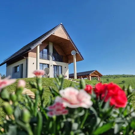Villa Lackowa Chill And Rest Z Balia Krynica-Zdrój