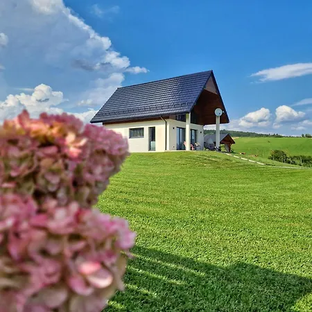 Villa Lackowa Chill And Rest Z Balia *